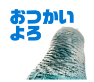 847550066