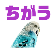 847550068