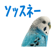 847550073