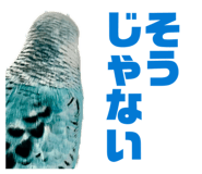 847550074
