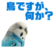 847550076