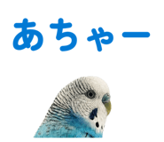 847550077