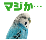 847550078