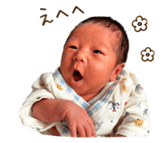 847550095