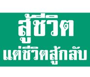 847550166