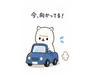 847551121