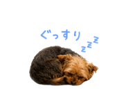 847552034