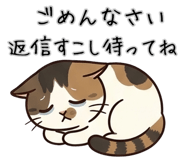 847553224