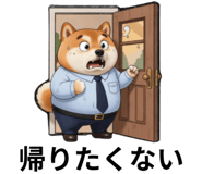 847555074