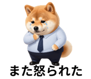 847555075