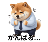 847555078