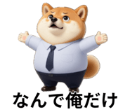847555080