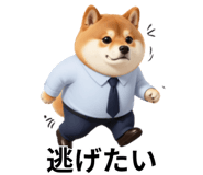 847555083