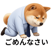 847555085