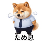847555091