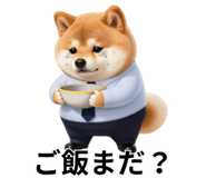 847555095