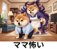 847555097