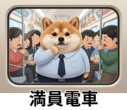 847555106