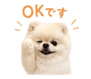 847572791