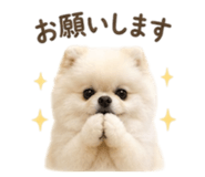 847572800