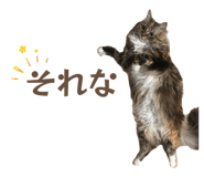 847573294