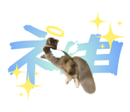 847573411