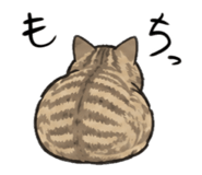 847574145