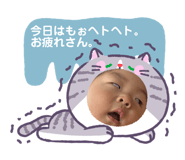 847574462