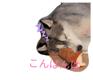 847575138