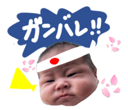 847586897