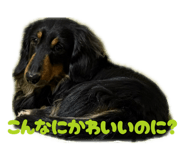 847587141