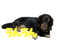 847587145