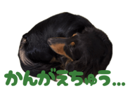 847587149