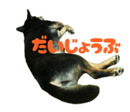 847587150