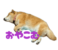 847587152