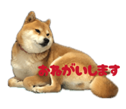 847587160