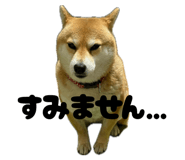 847587162