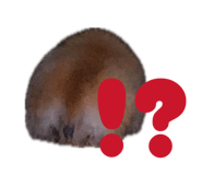 847587163