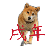 847587167