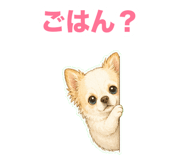 847587747