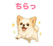 847587749