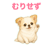 847587753