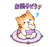 847588961