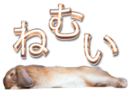 847589212