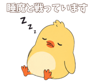 847592628