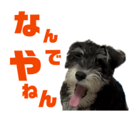847594089