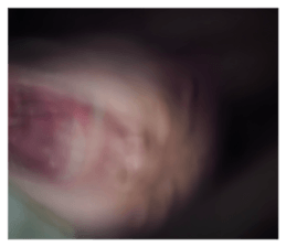 847594462