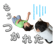 847595852