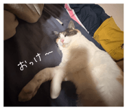847596062
