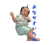847597081